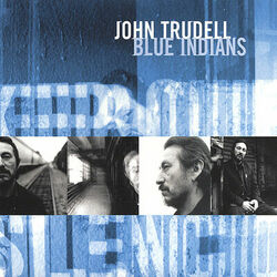 Cover of Blue Indians