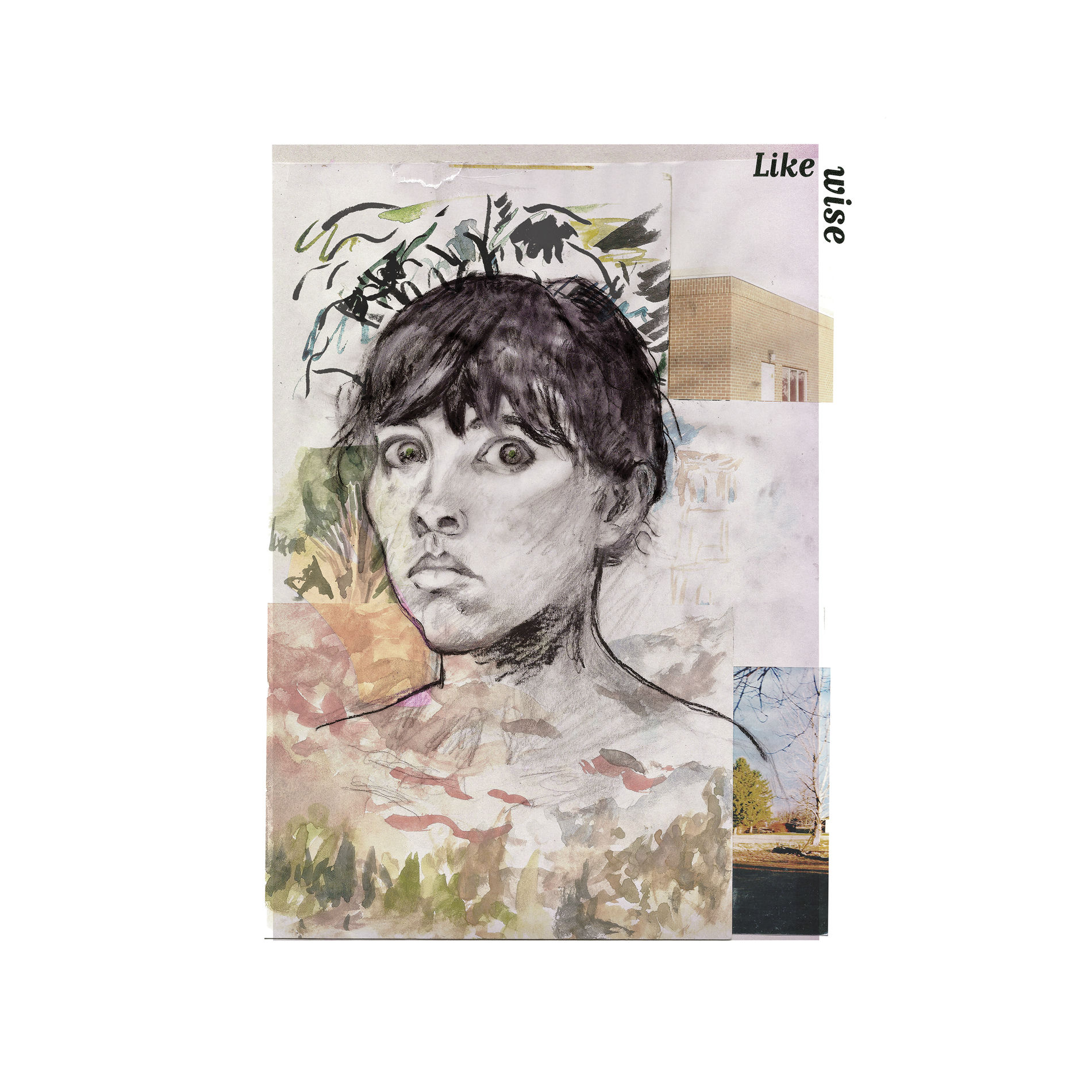 Album cover of Likewise