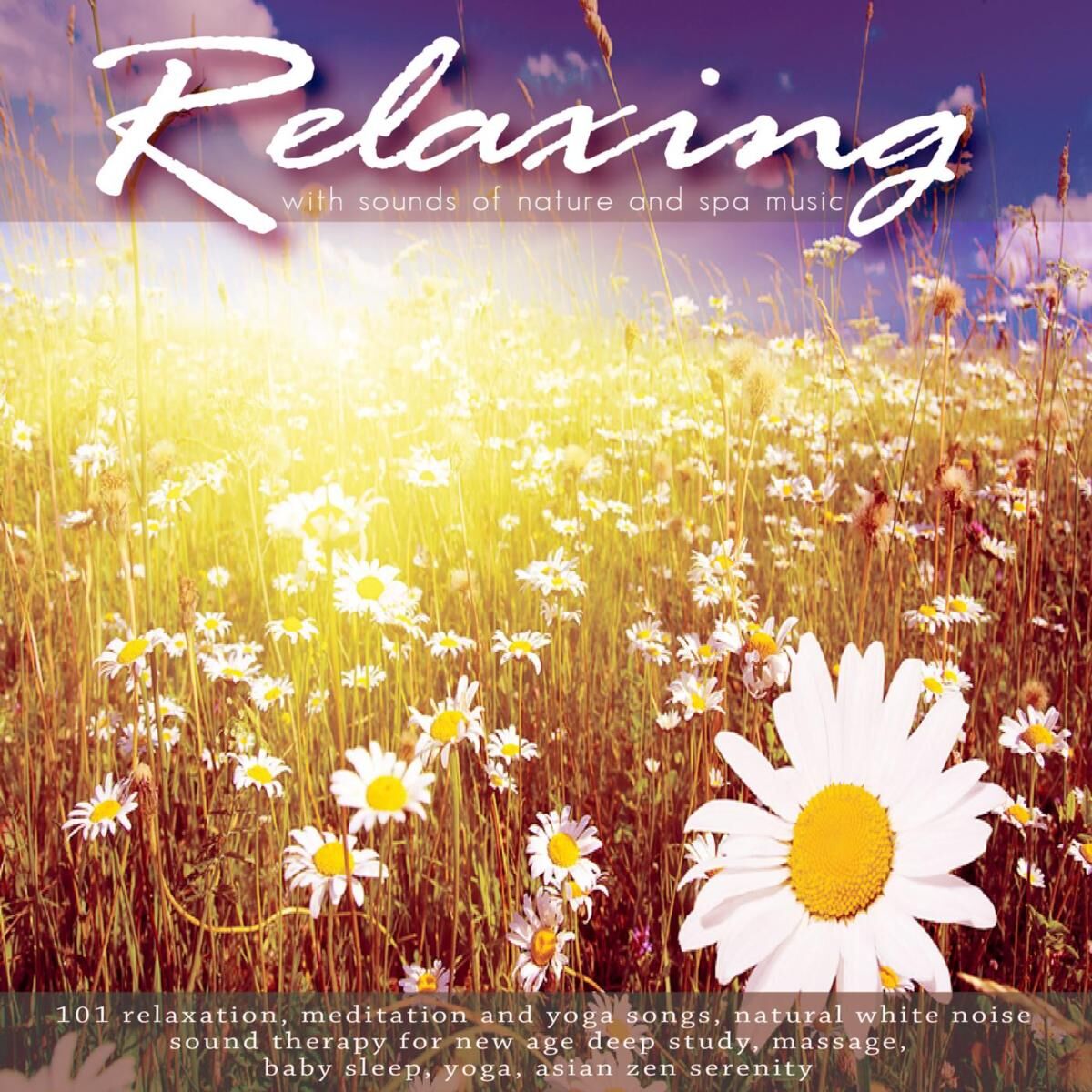 Album cover of Hannah's Lullaby