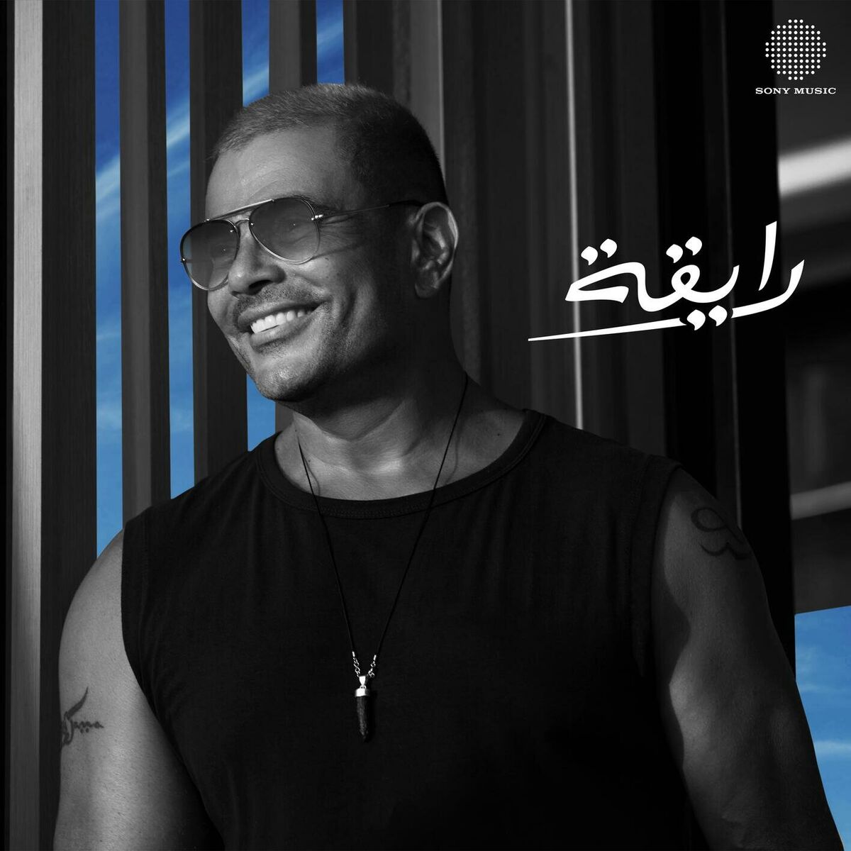 Album cover of Ray'a