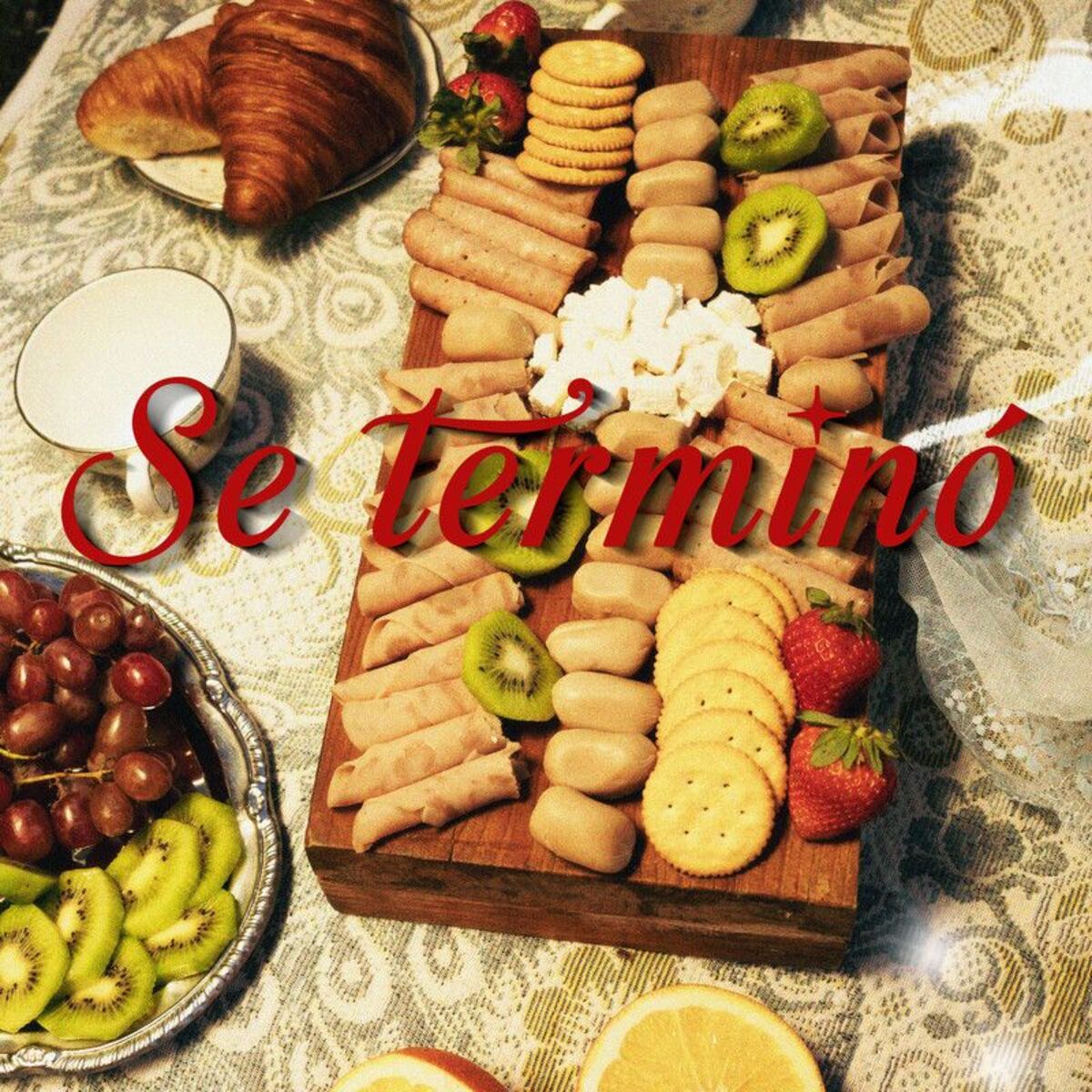 Album cover of Se Terminó