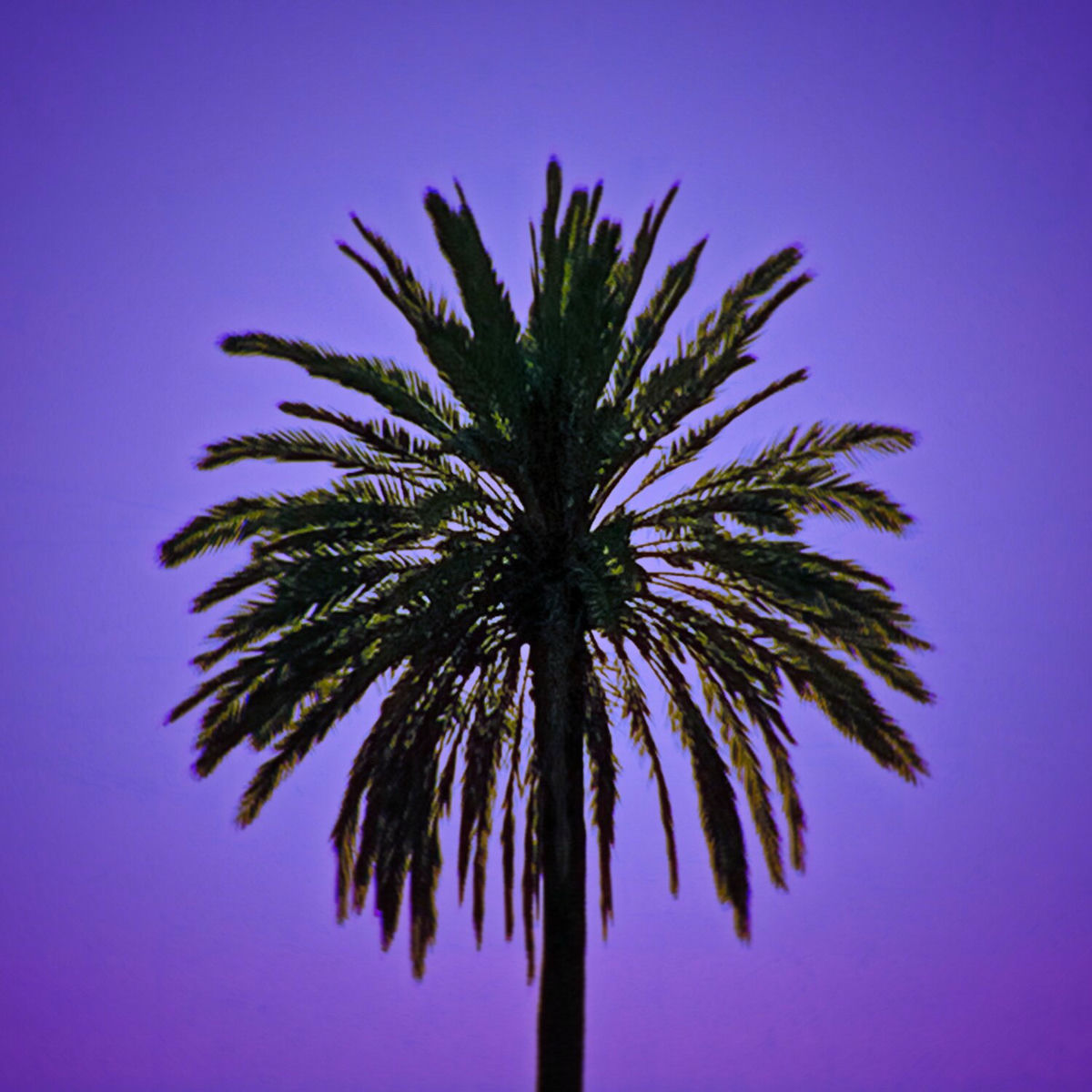 Album cover of Who's This