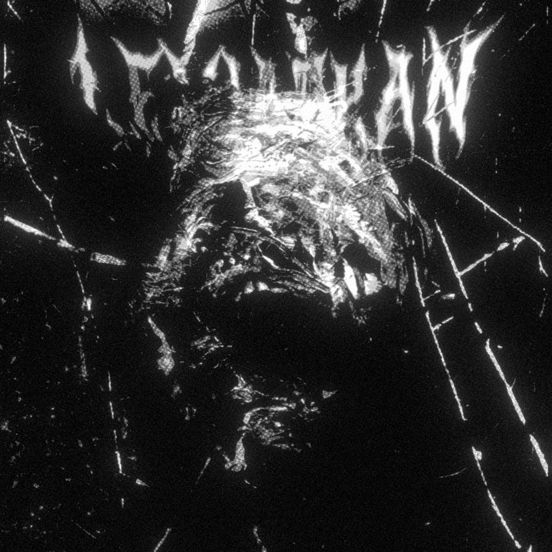 Album cover of LEVIATHAN