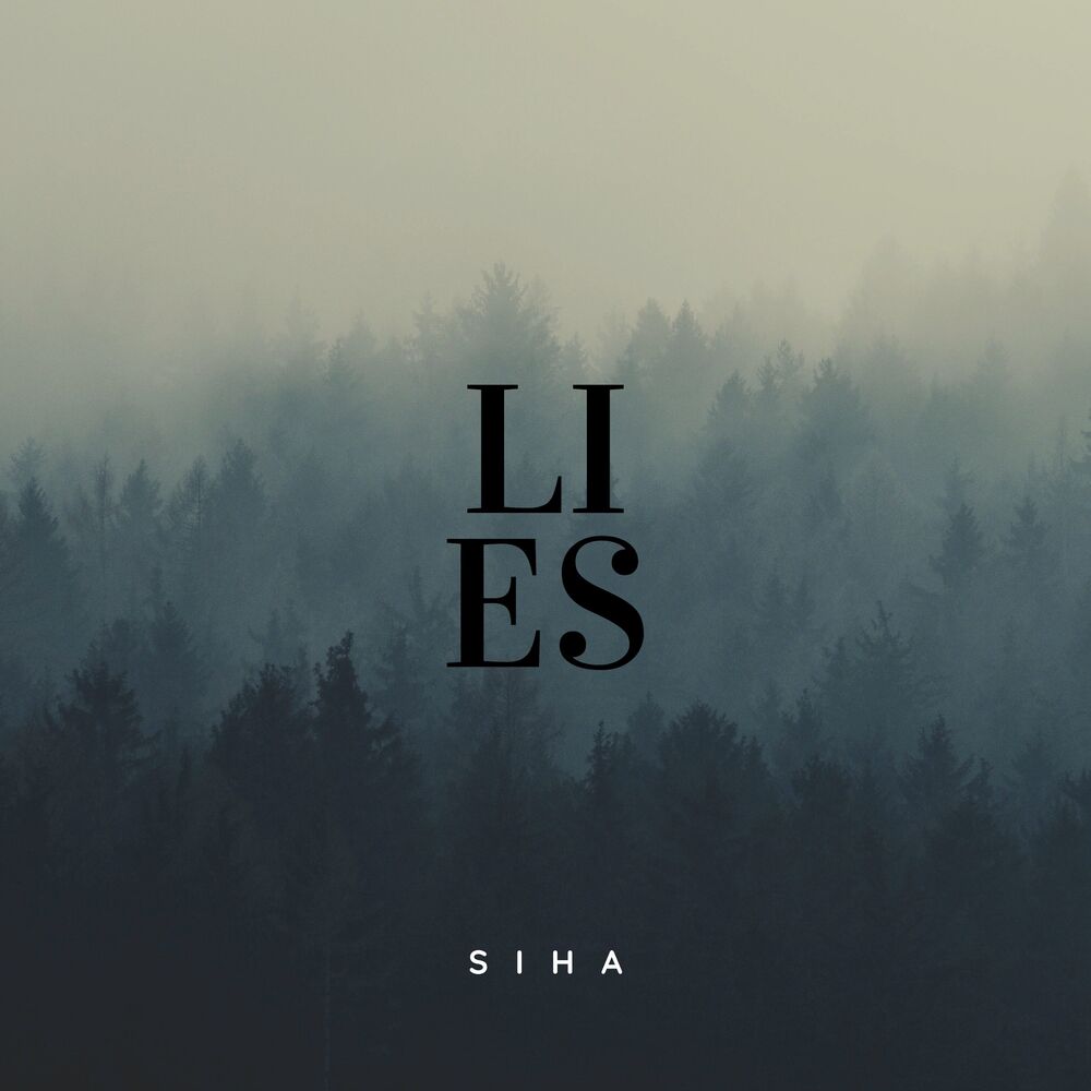 Picture of Lies