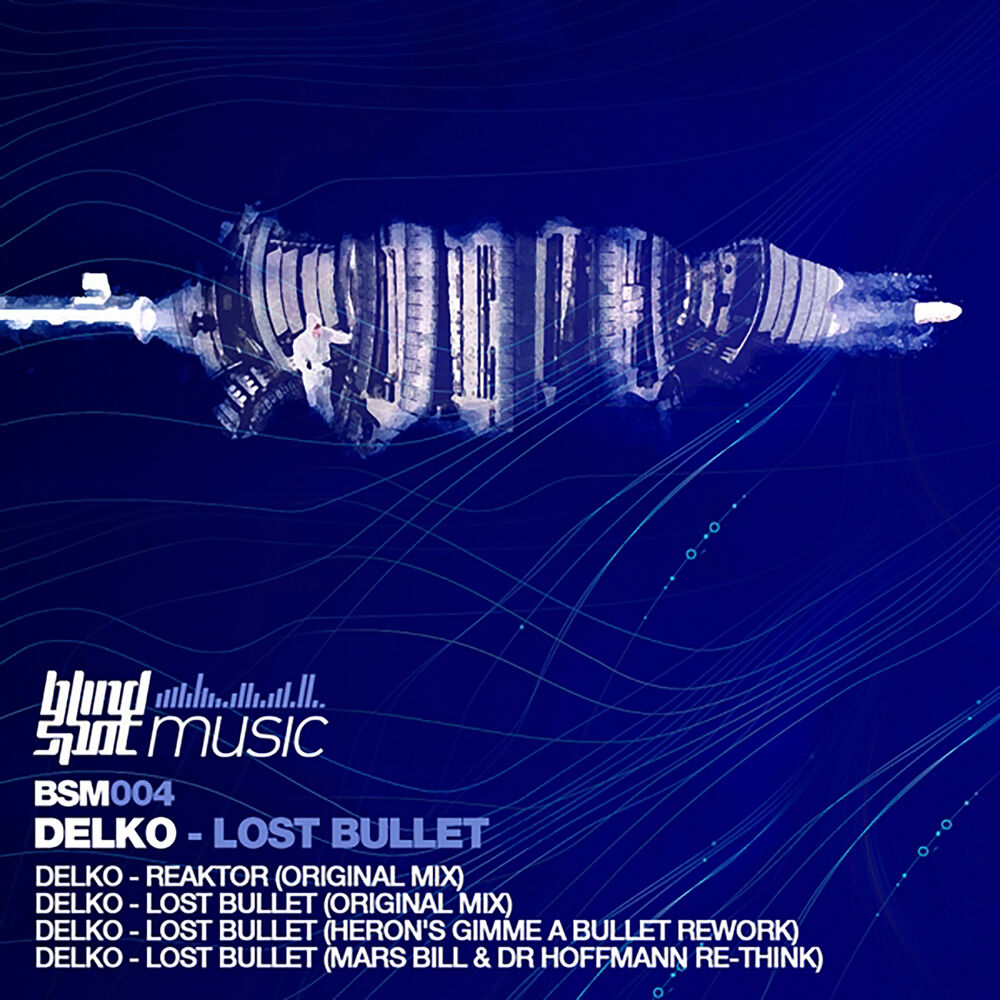 Picture of Lost Bullet