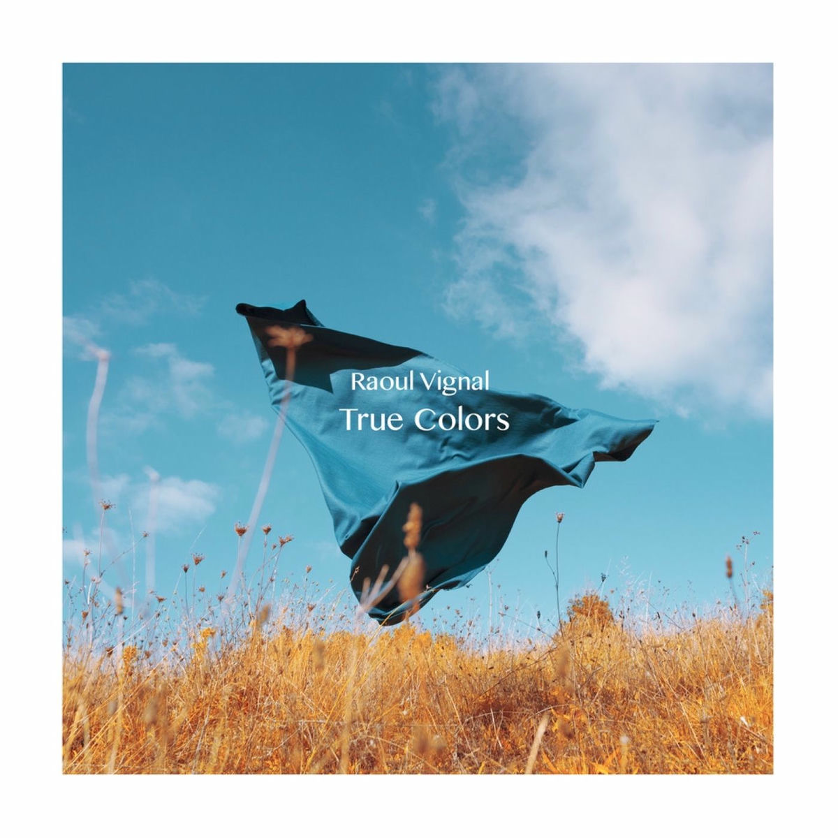 Album cover of True Colors