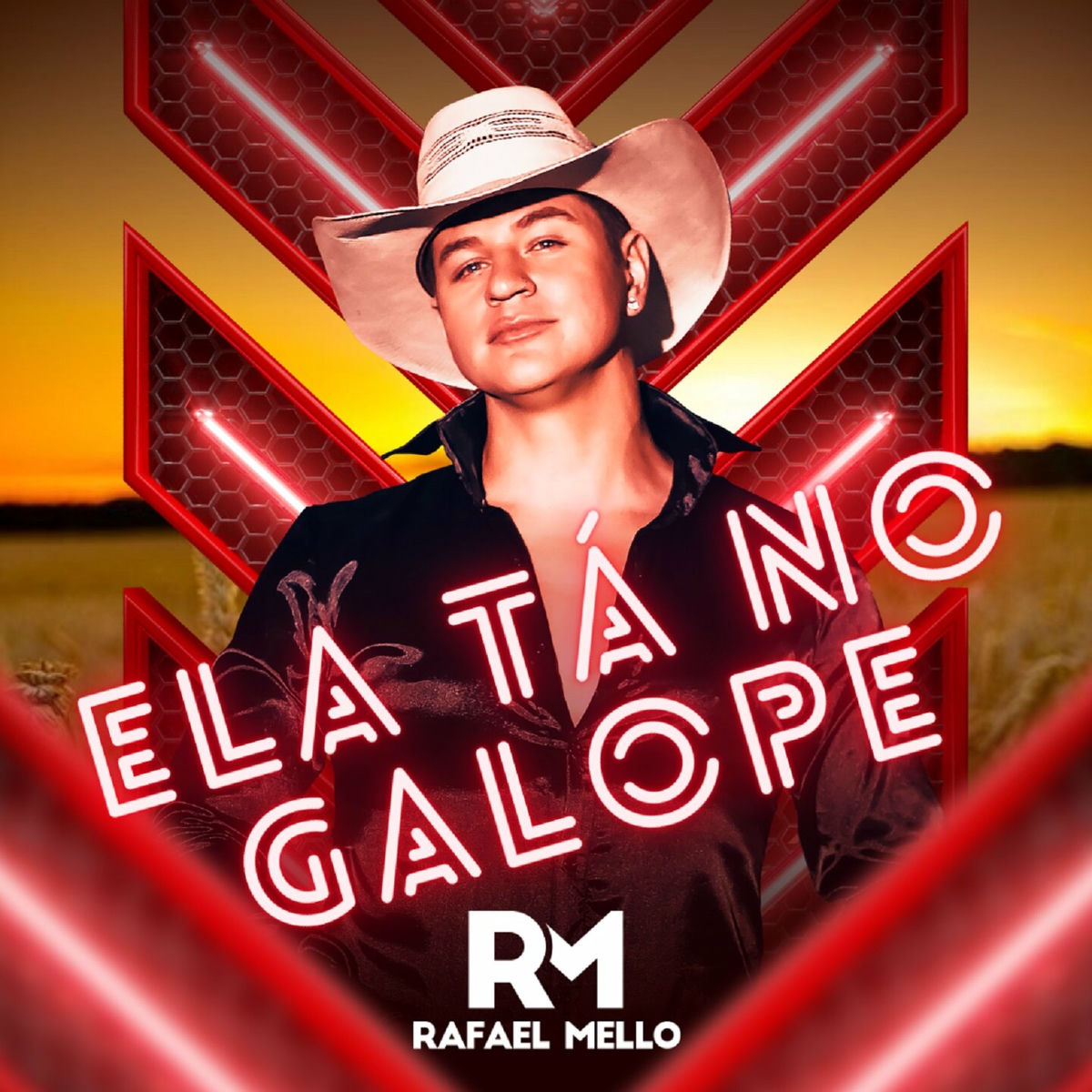Album cover of Ela Tá no Galope
