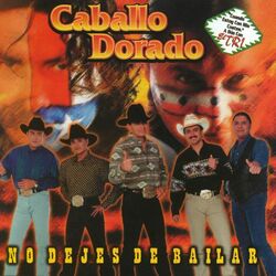 Cover of No dejes de bailar