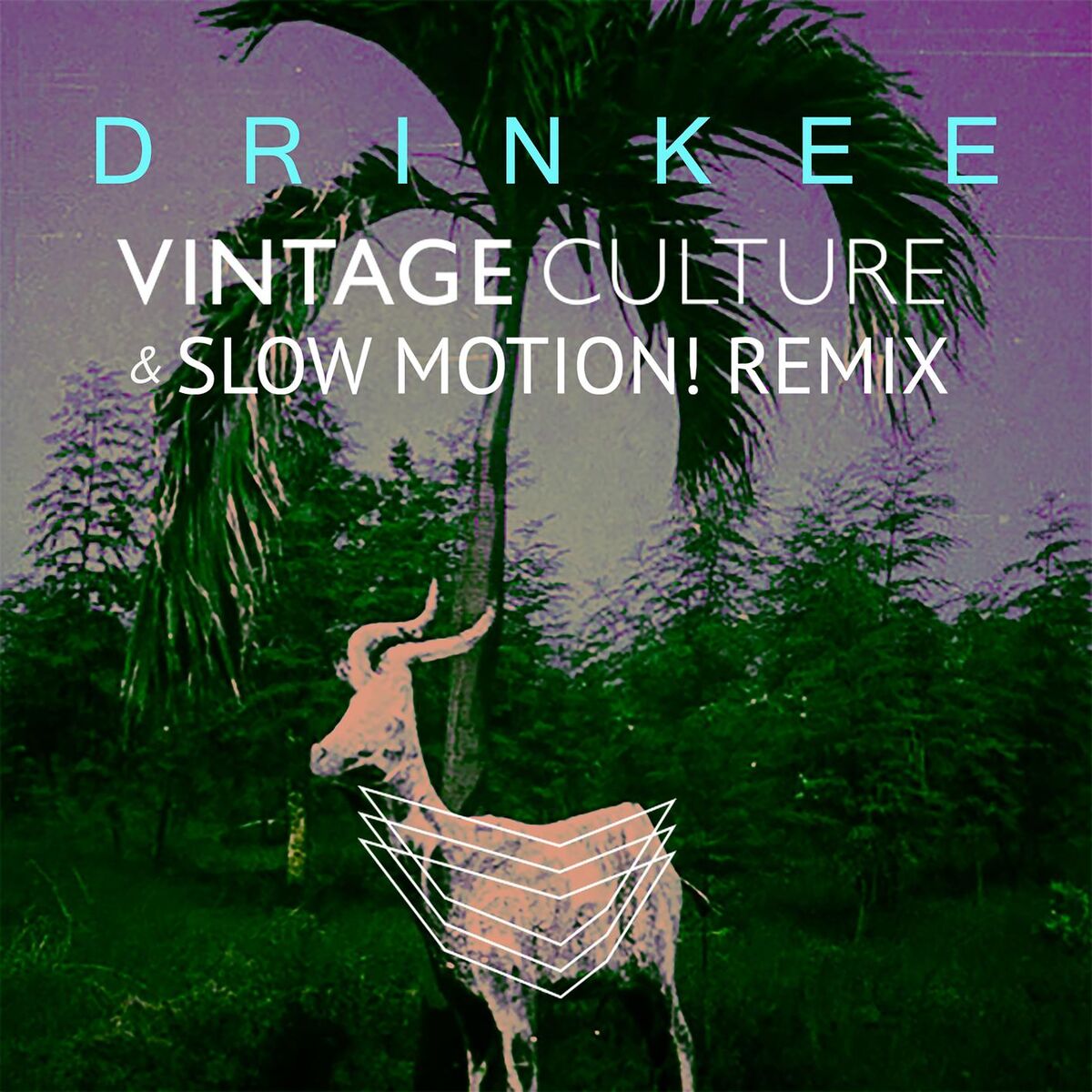 Album cover of Drinkee (Vintage Culture & Slow Motion! Remix)