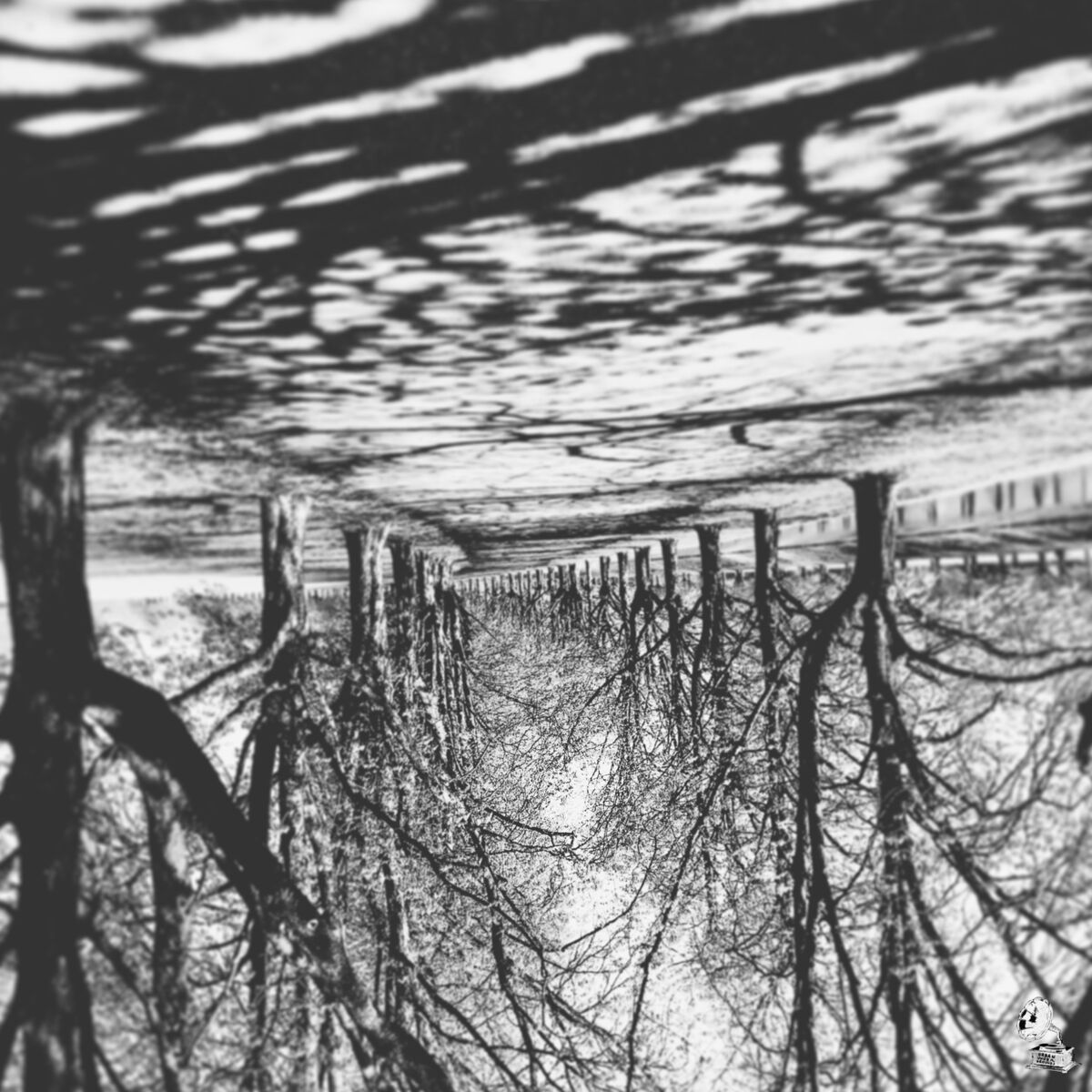 Album cover of Umgedrehter Baum