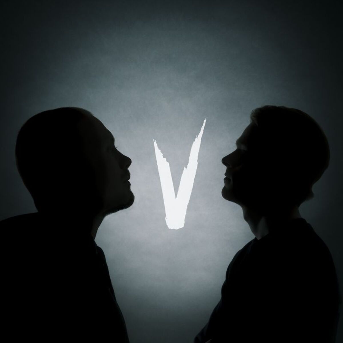 Album cover of V