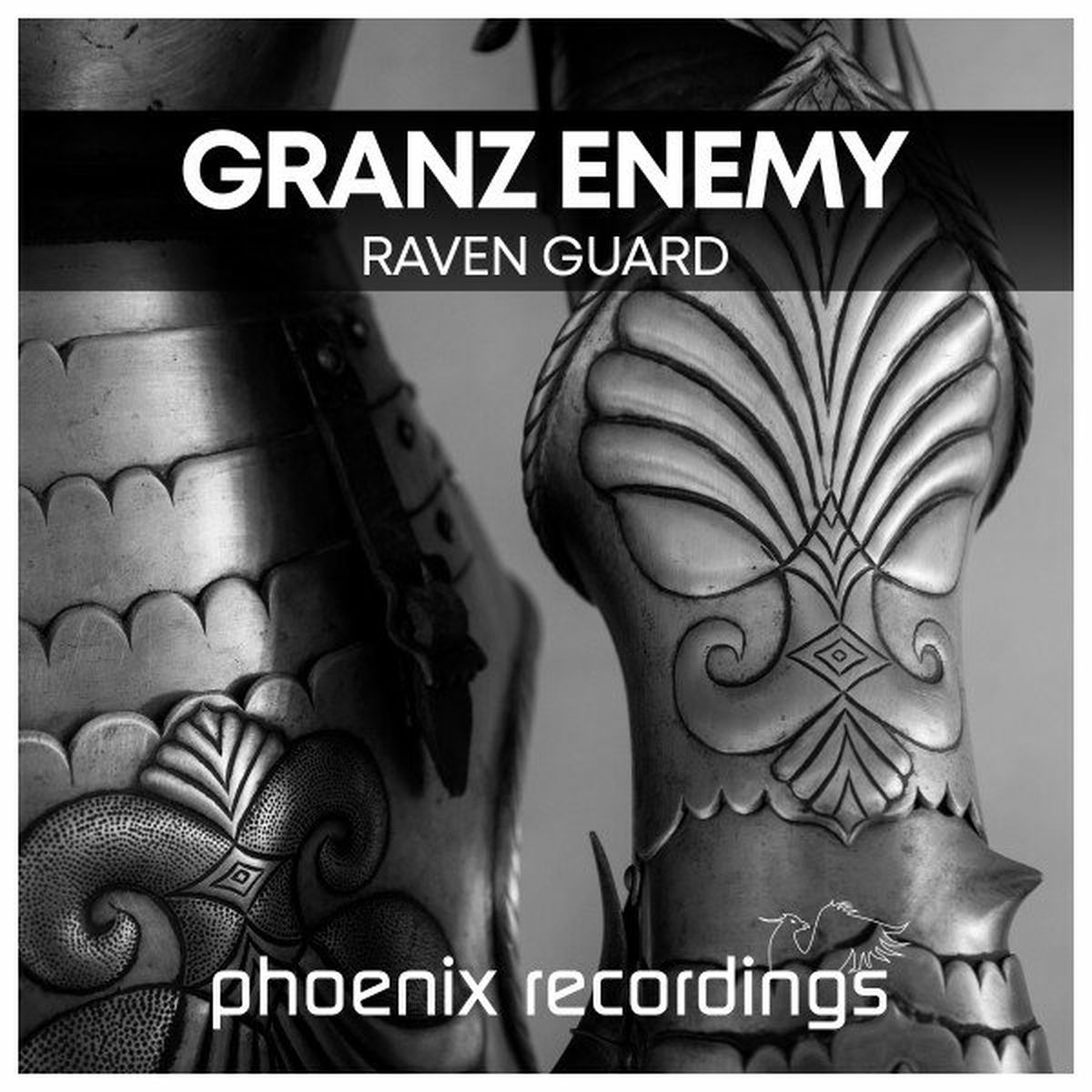 Album cover of Raven Guard