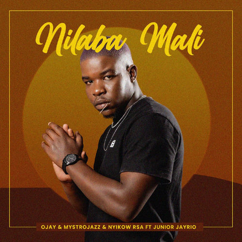 Nilaba Mali