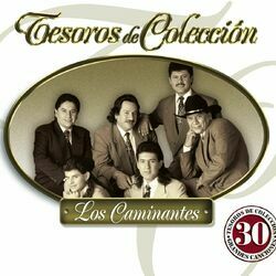 Cover of Tesoros de Colección