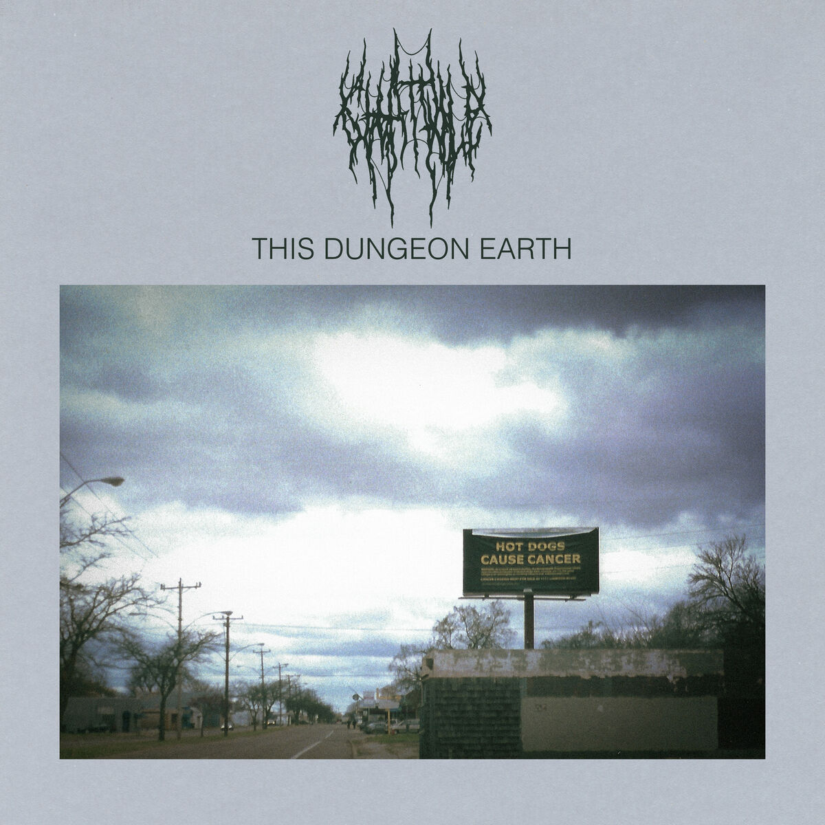 Album cover of This Dungeon Earth