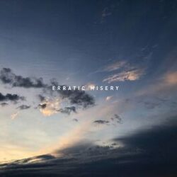 Cover of erratic misery