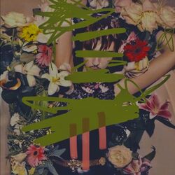 Cover of THE GET UP