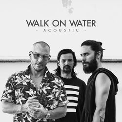 Cover of Walk On Water (Acoustic)