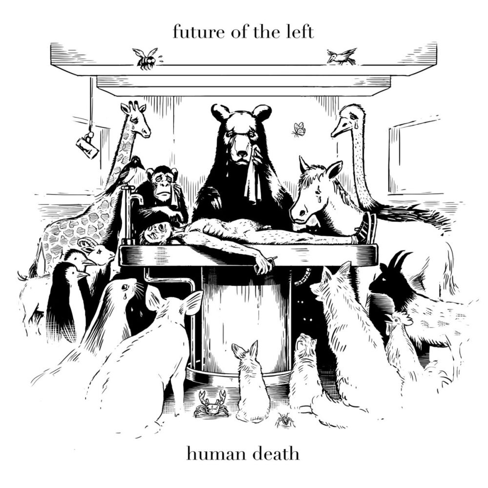 Picture of Human Death