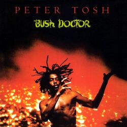 Cover of Bush Doctor