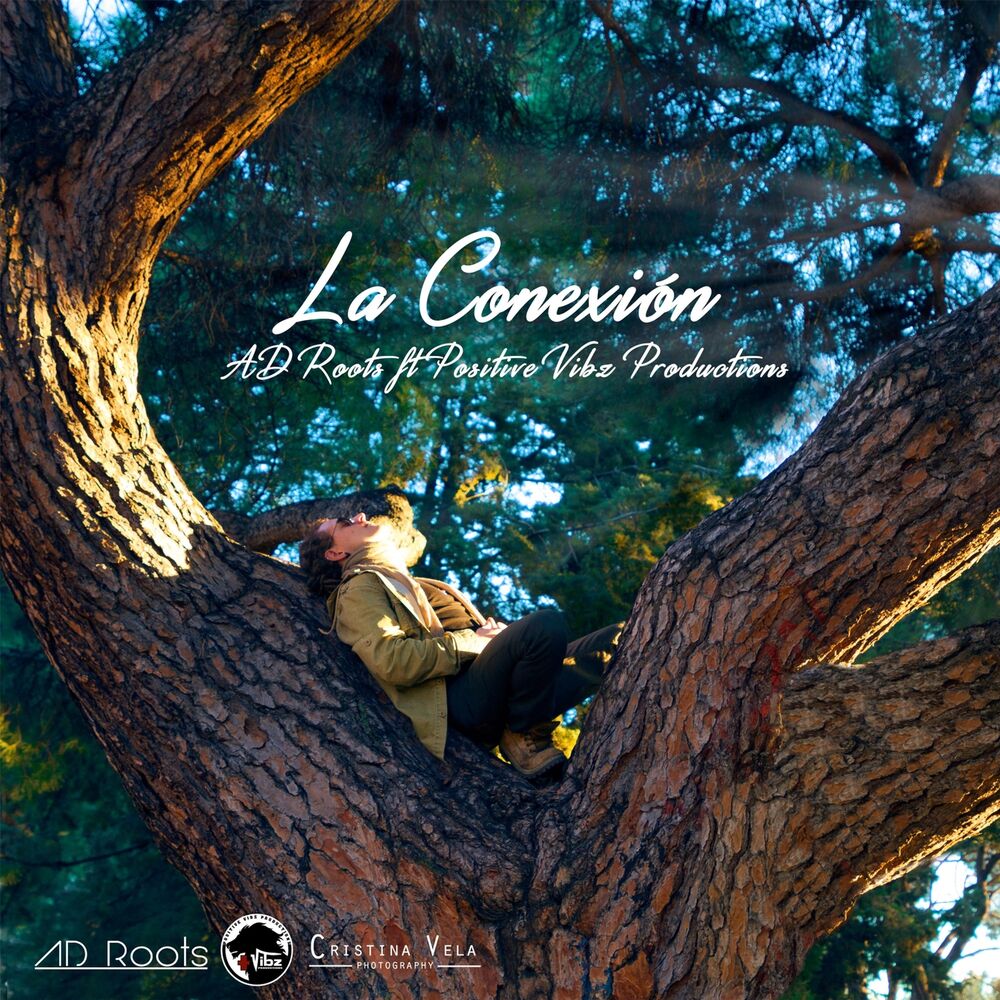 Picture of La Conexión