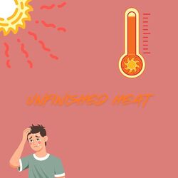Cover of Unfinished Heat