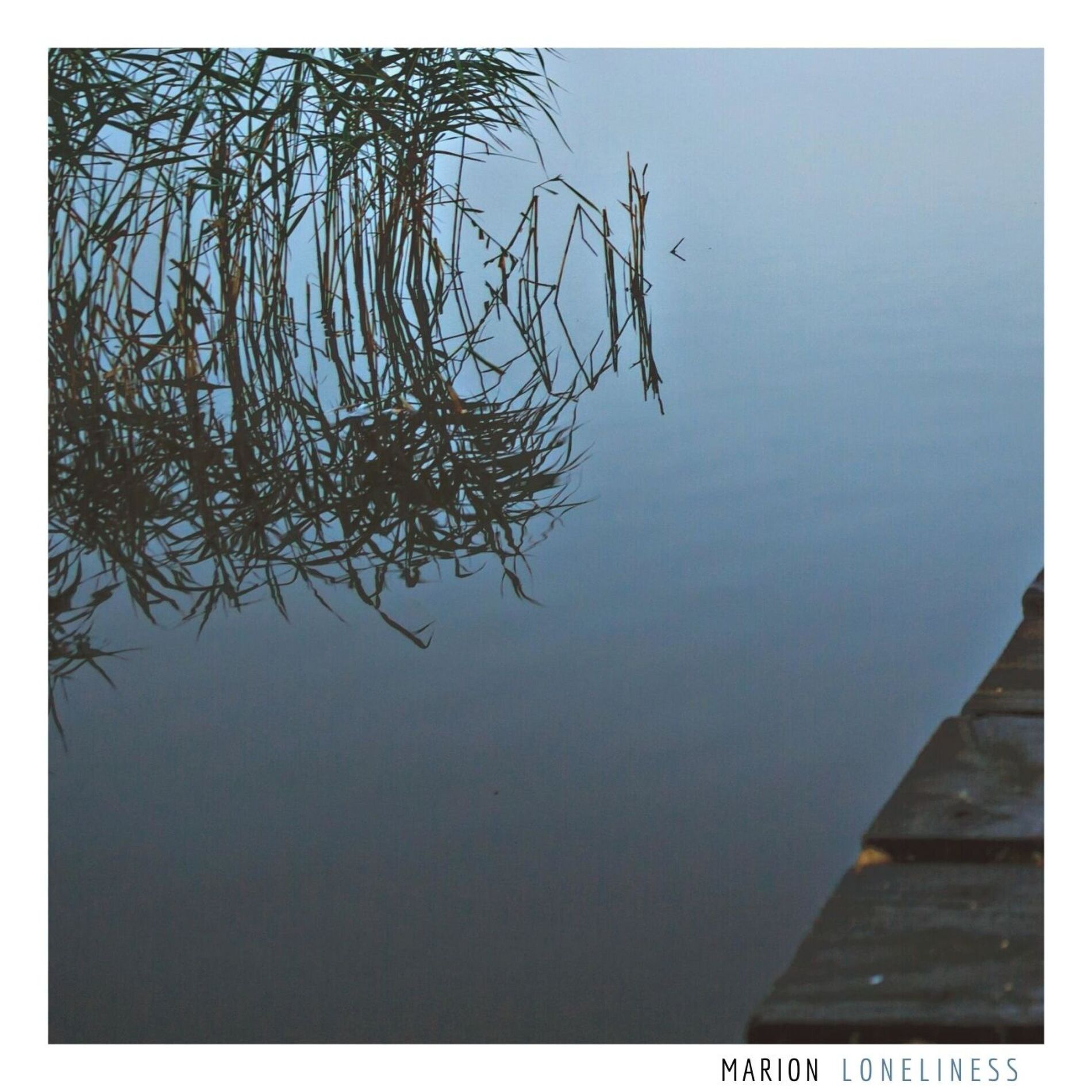 Album cover of Loneliness