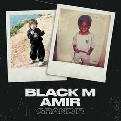 Cover of Grandir