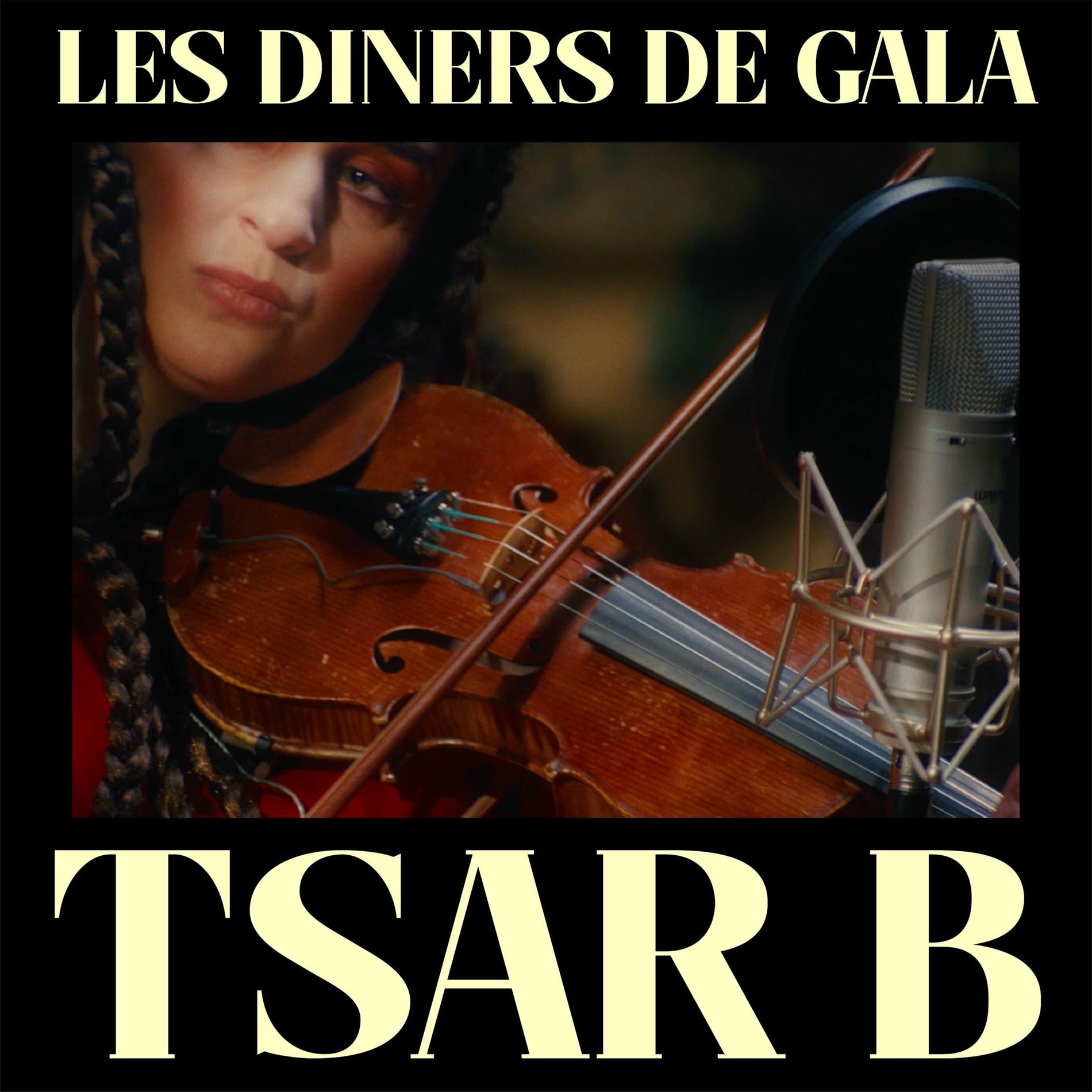 Album cover of Unpaintable (live at Les Diners de Gala)