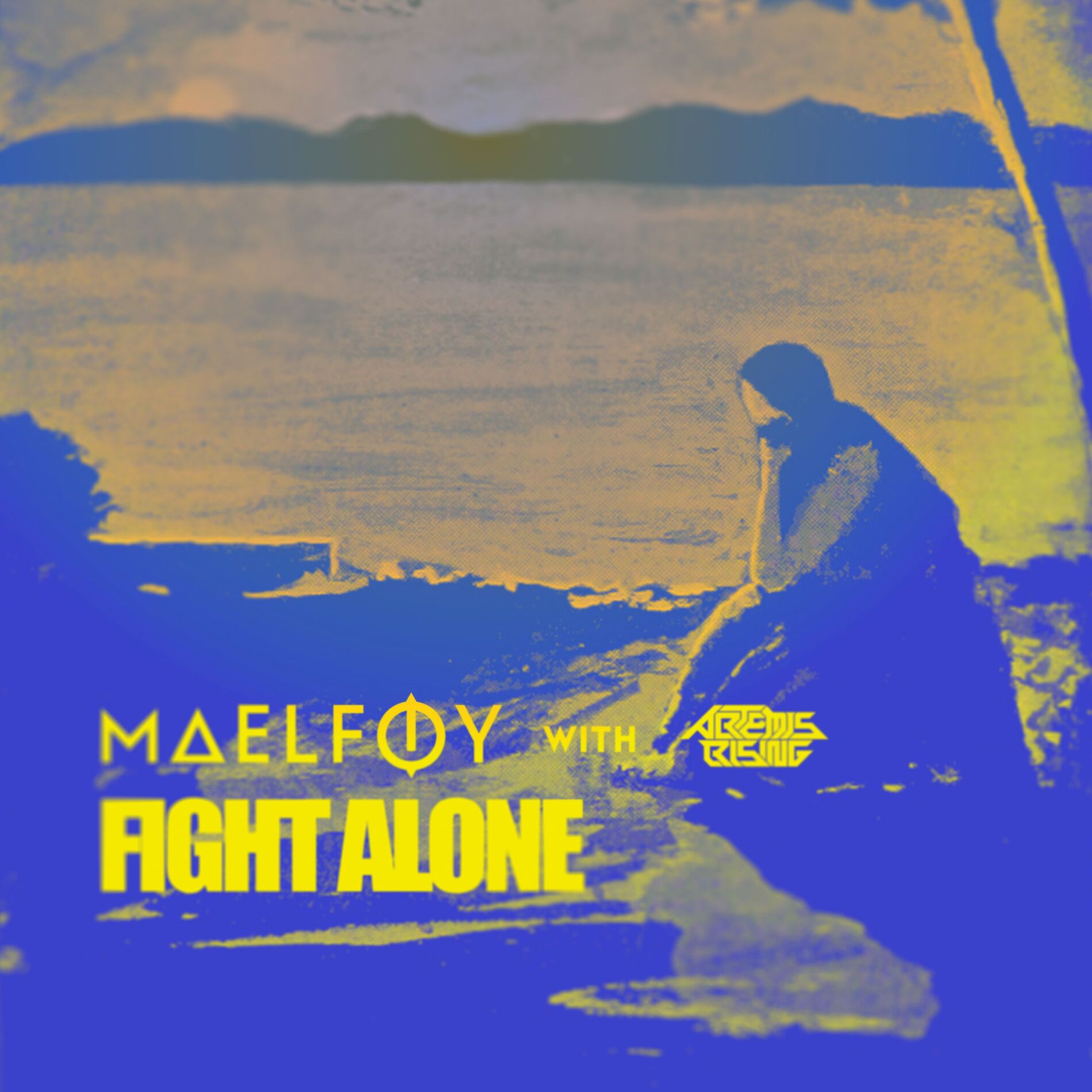Album cover of Fight Alone