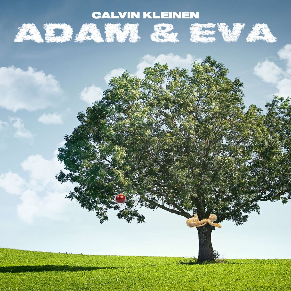 Album cover of Adam und Eva