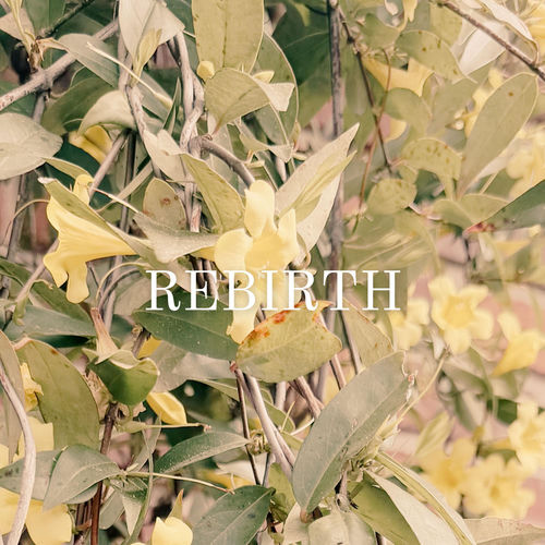 Rebirth (from the Chamber Sessions)