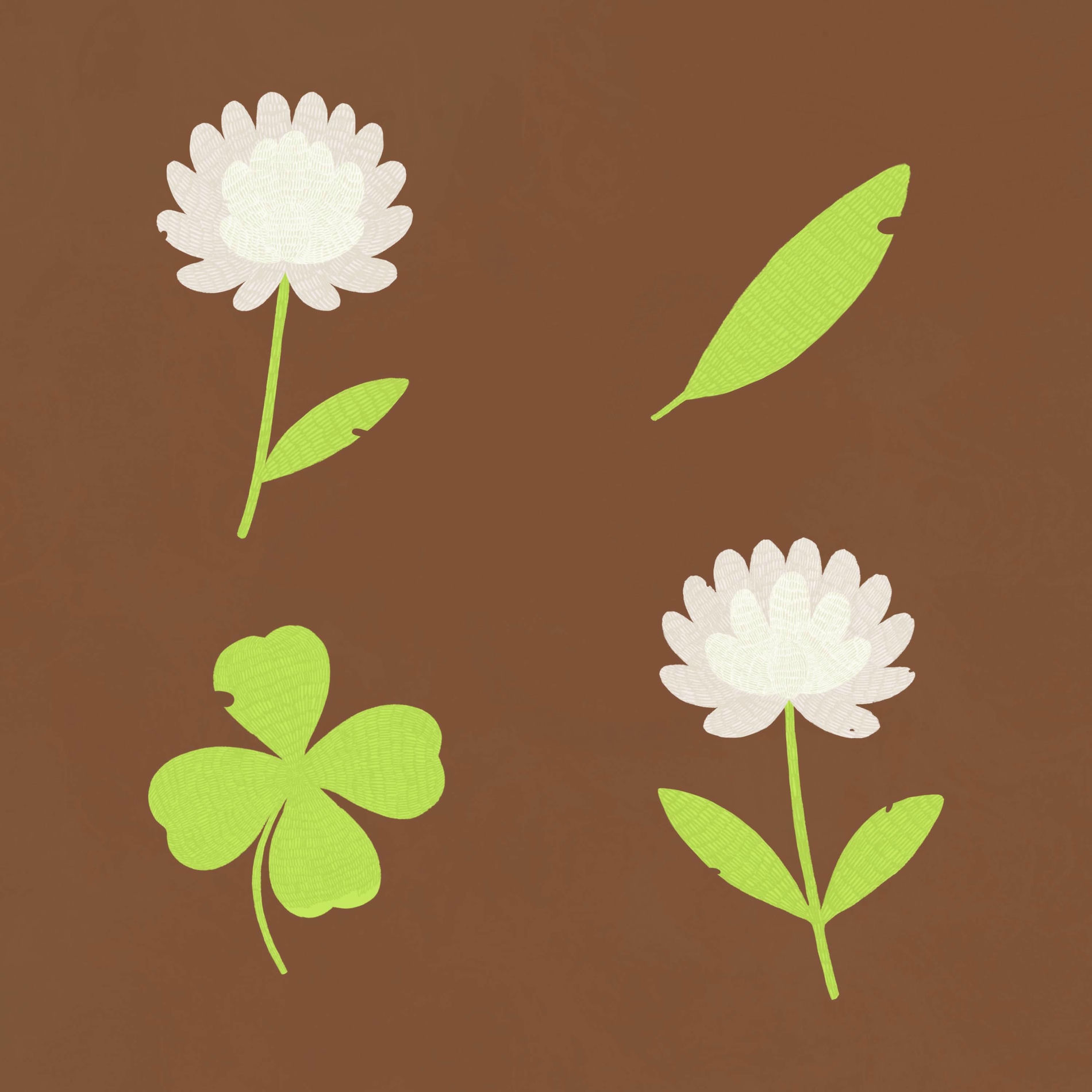 Album cover of clover waltz
