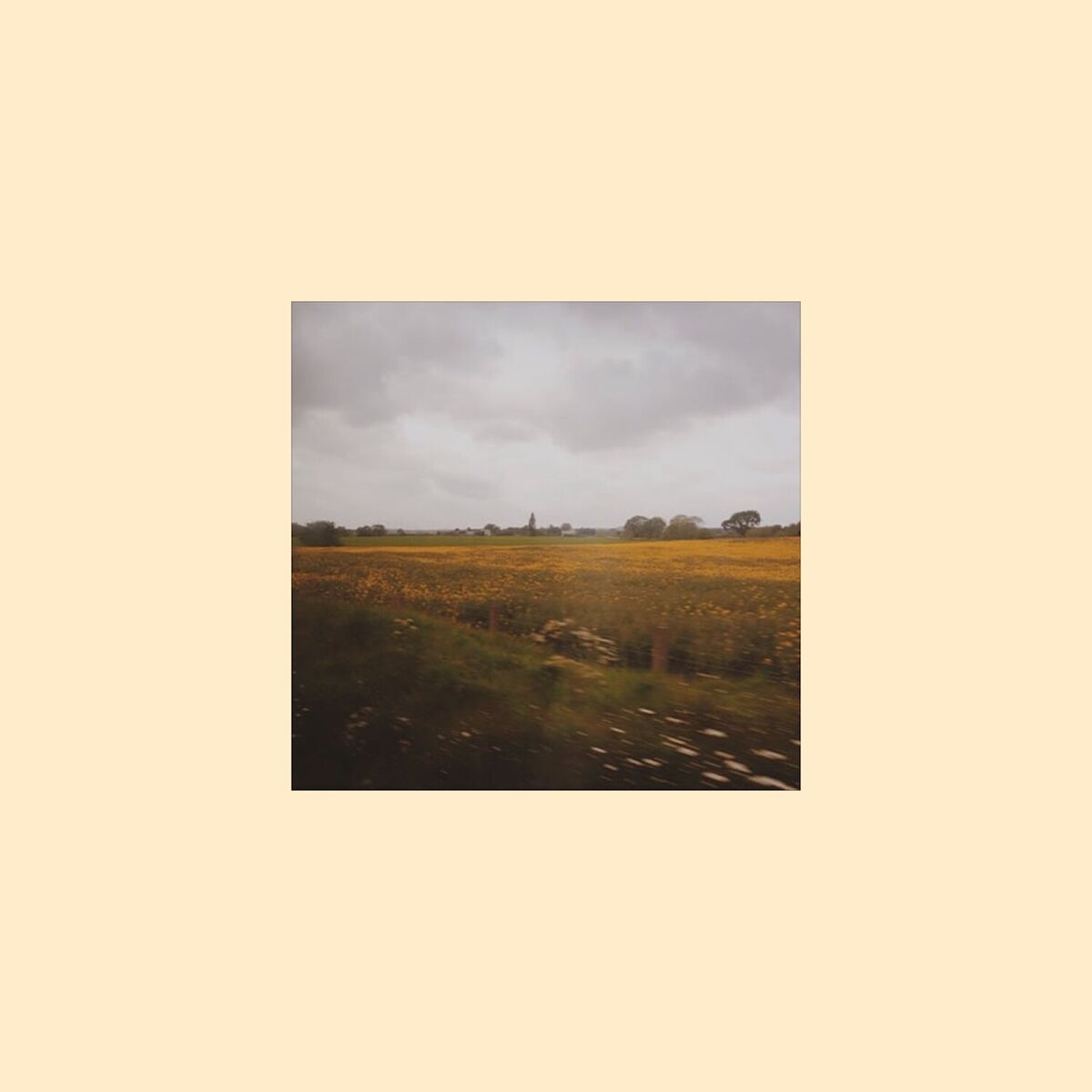 Album cover of There She Goes