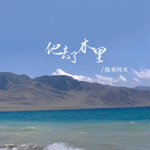 他去了木里