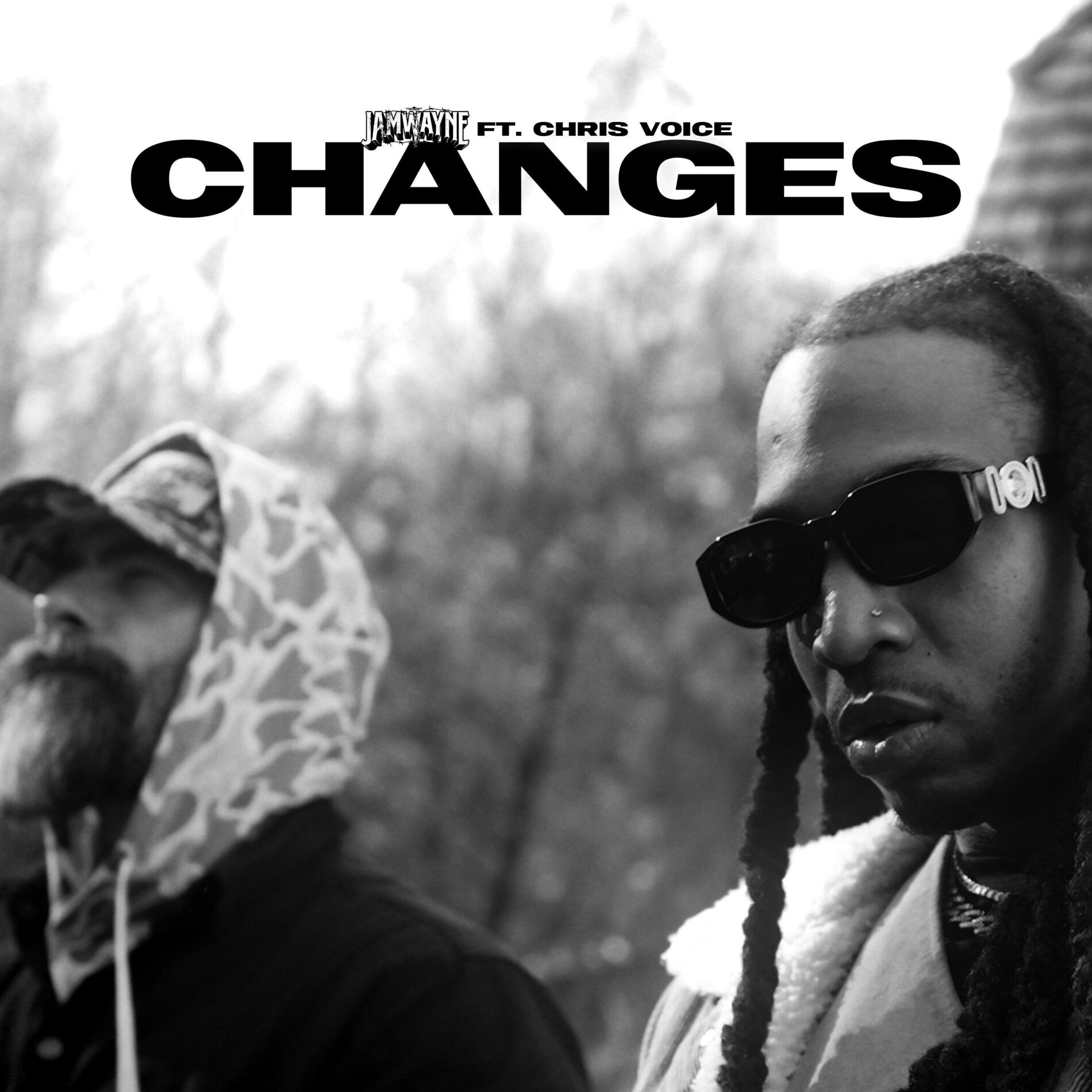Album cover of Changes (feat. Chris Voice)