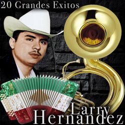 Cover of 20 Grandes Exitos