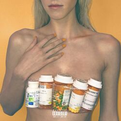 Cover of digital druglord