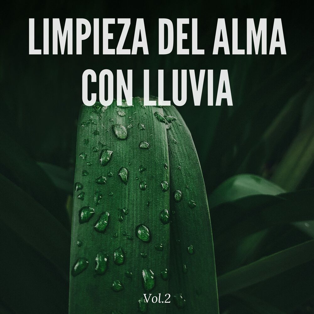 Picture of Limpieza del alma con lluvia Vol.2