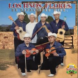 Cover of Los Hermanos Flores De Tepaltepec Michoacán
