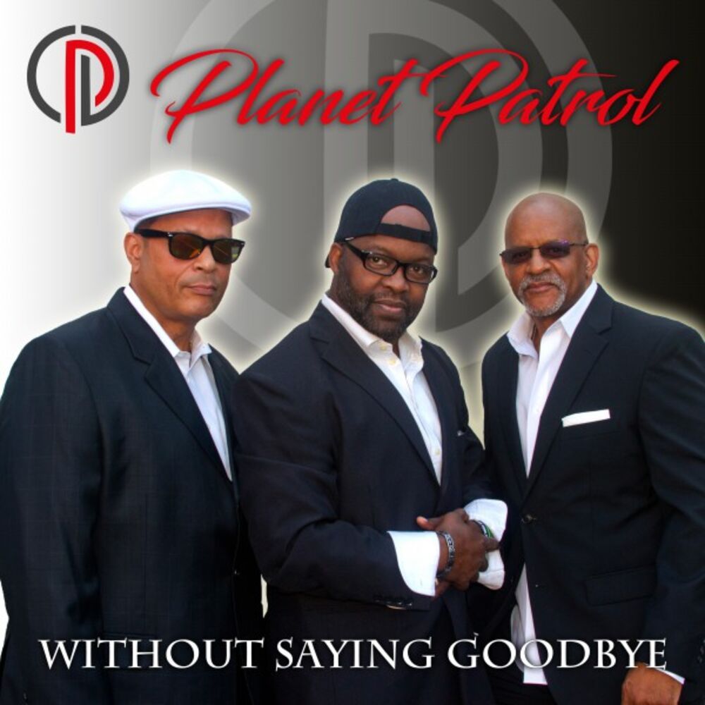 Picture of Without Saying Goodbye