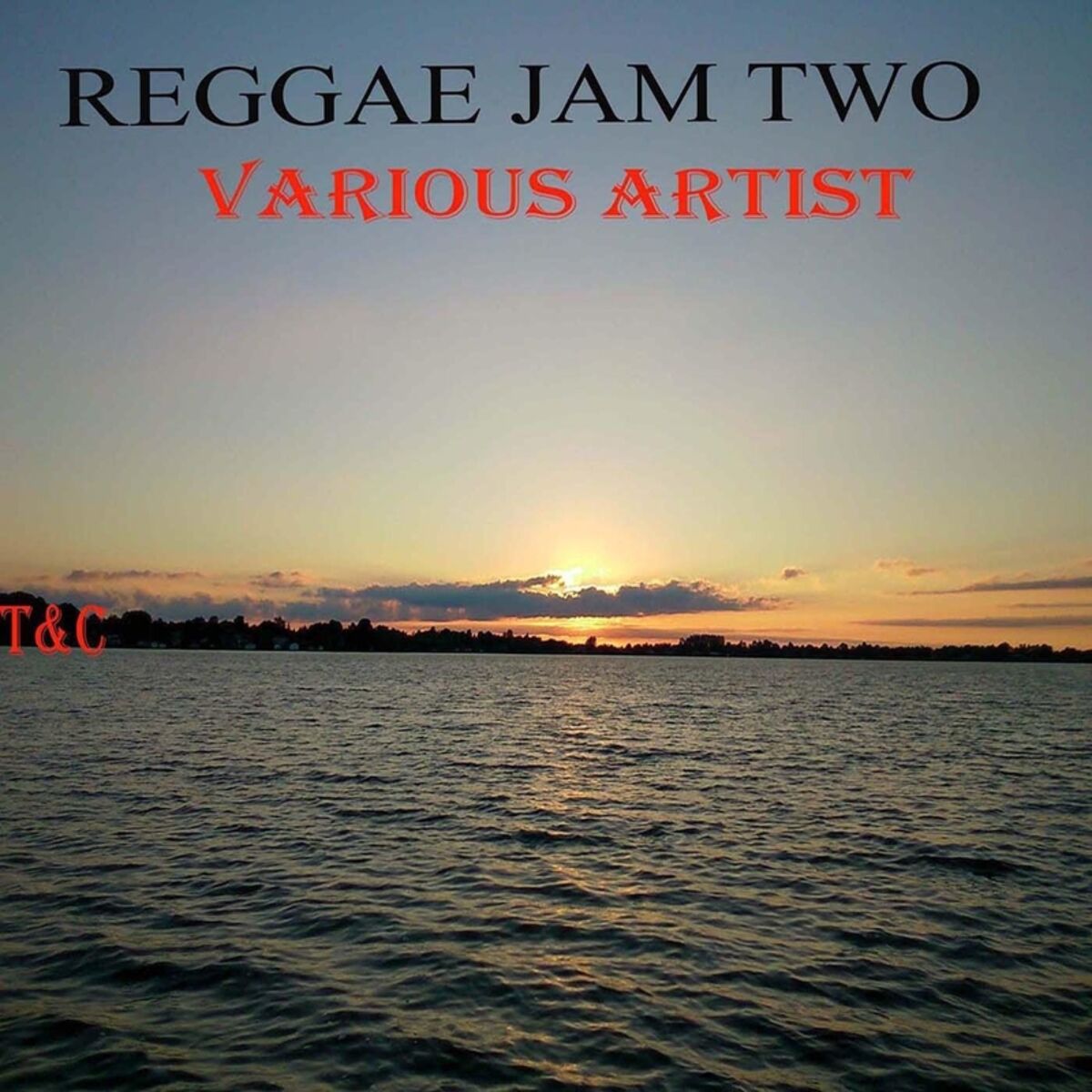 Album cover of Reggae Jam Two