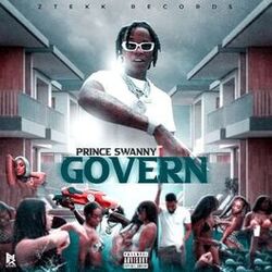 Cover of Govern