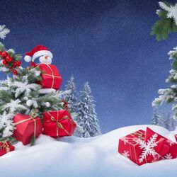 Cover of Classic Christmas Melodies Collection