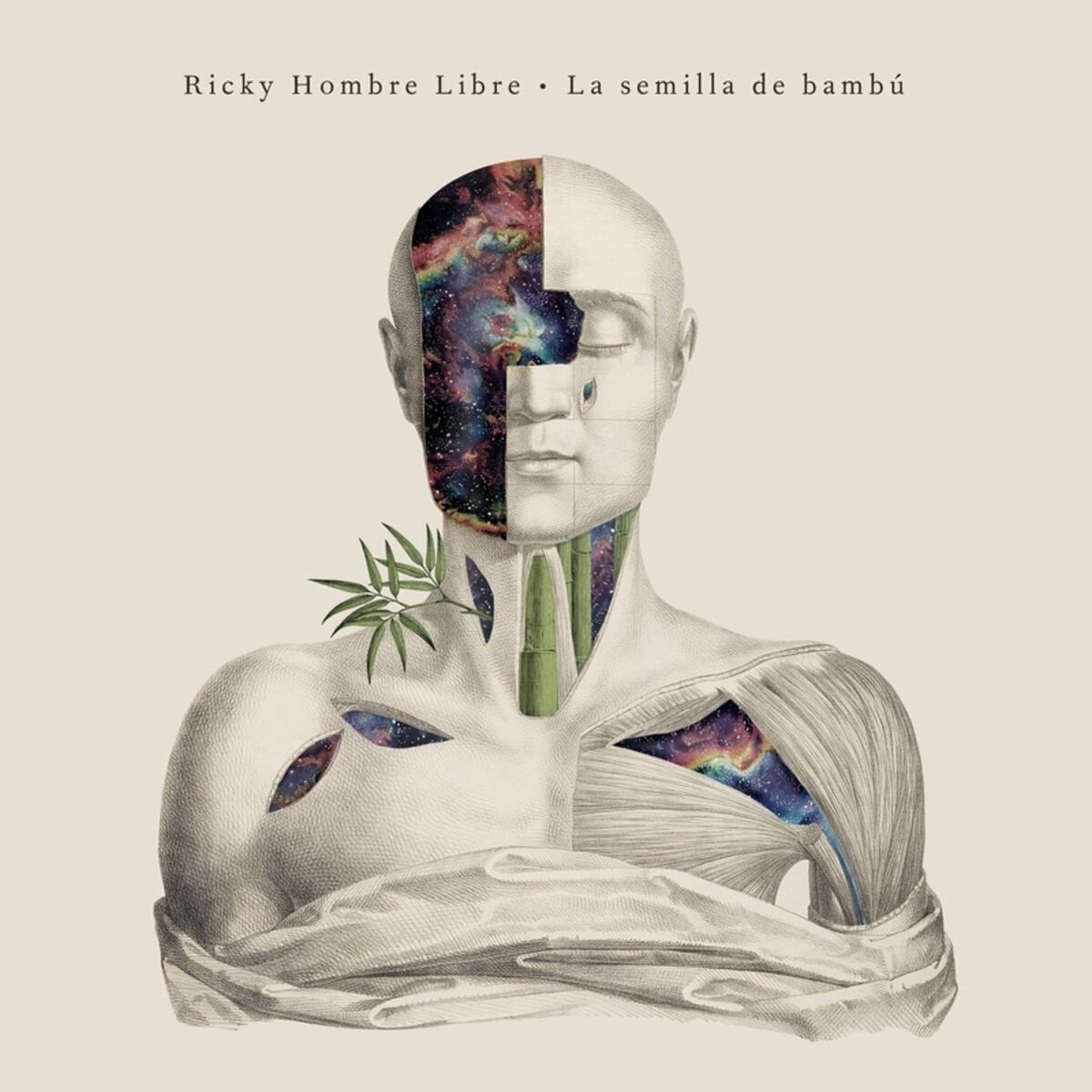 Album cover of La Semilla de Bambú