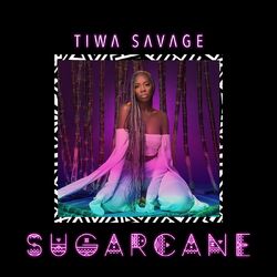 Cover of Sugarcane