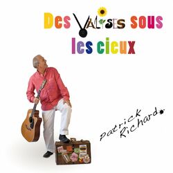 Cover of Des valises sous les cieux