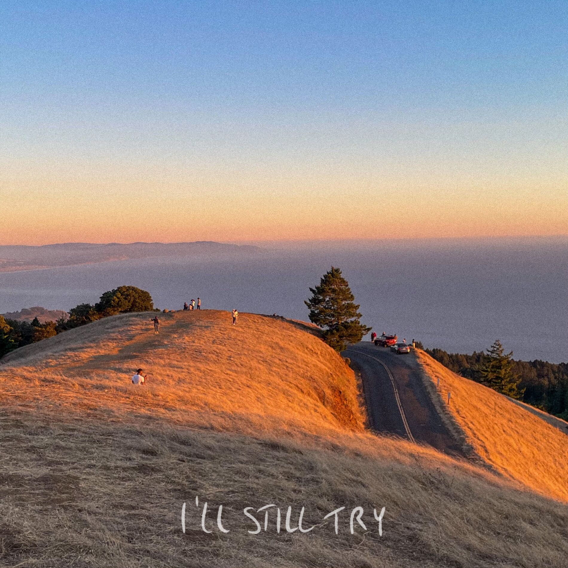 Album cover of i'll still try