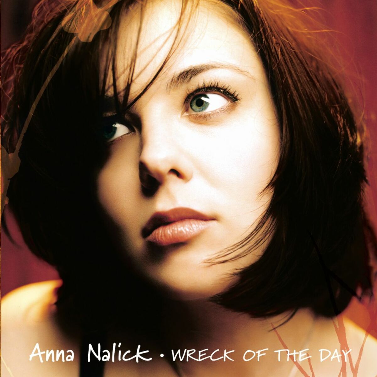 Album cover of Wreck of the Day