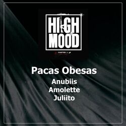 Cover of Pacas Obesas
